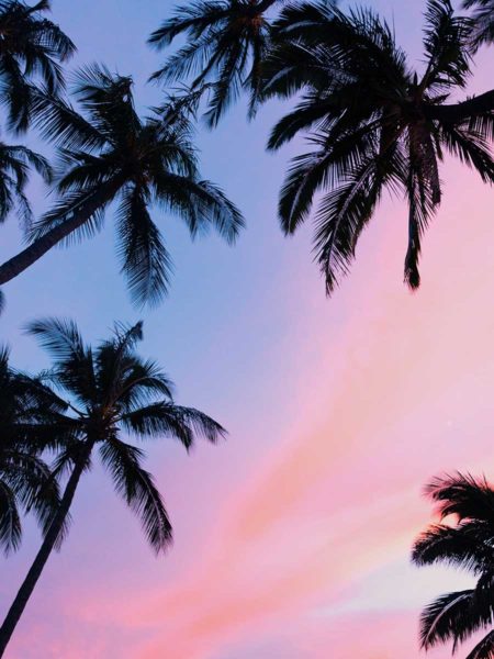 Wenn Hawaii ruft